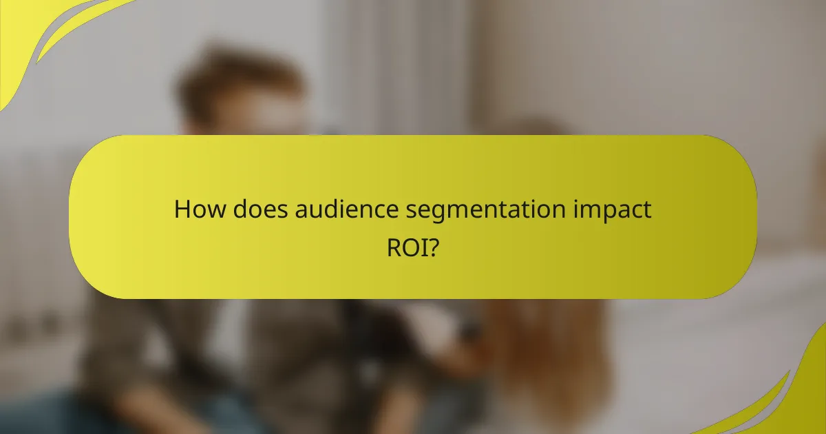 How does audience segmentation impact ROI?