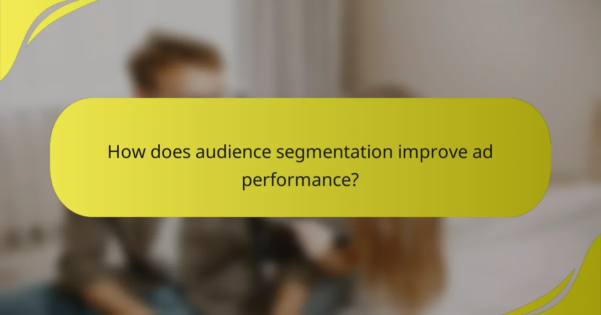How does audience segmentation improve ad performance?