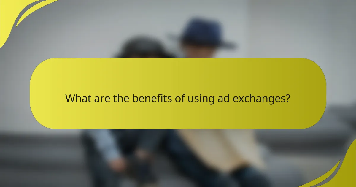 What are the benefits of using ad exchanges?