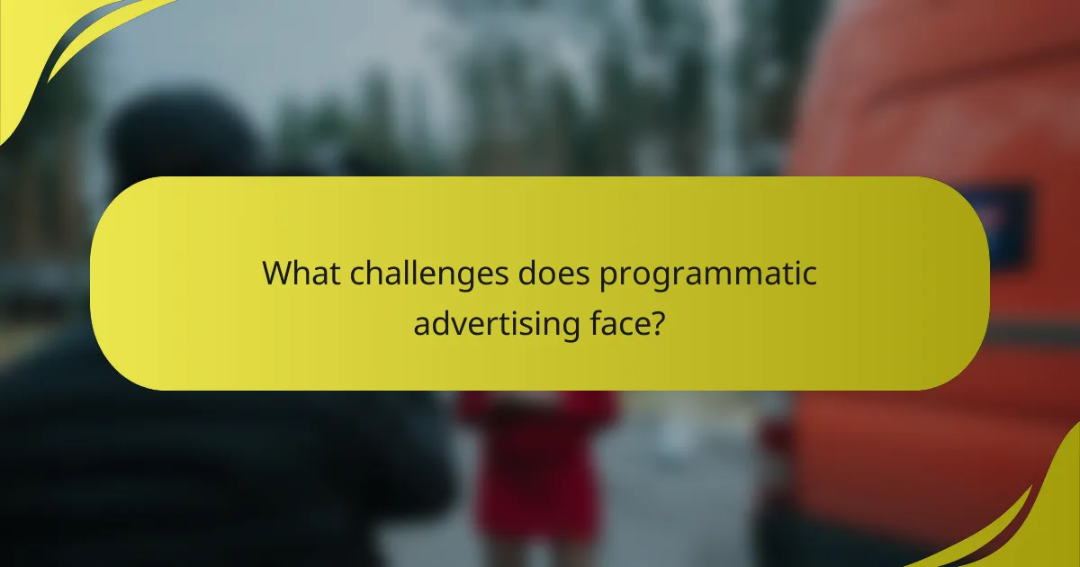 What challenges does programmatic advertising face?