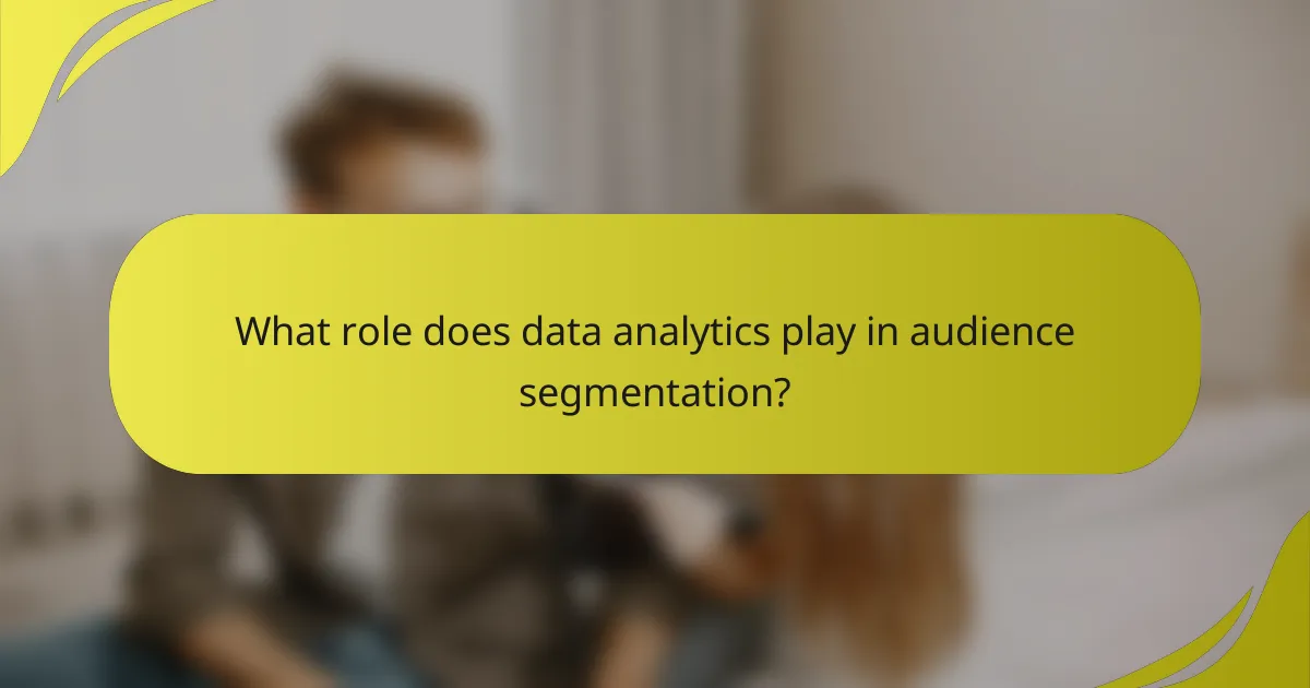What role does data analytics play in audience segmentation?